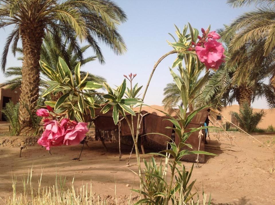 Chez Madani Hotel M'Hamid Luaran gambar