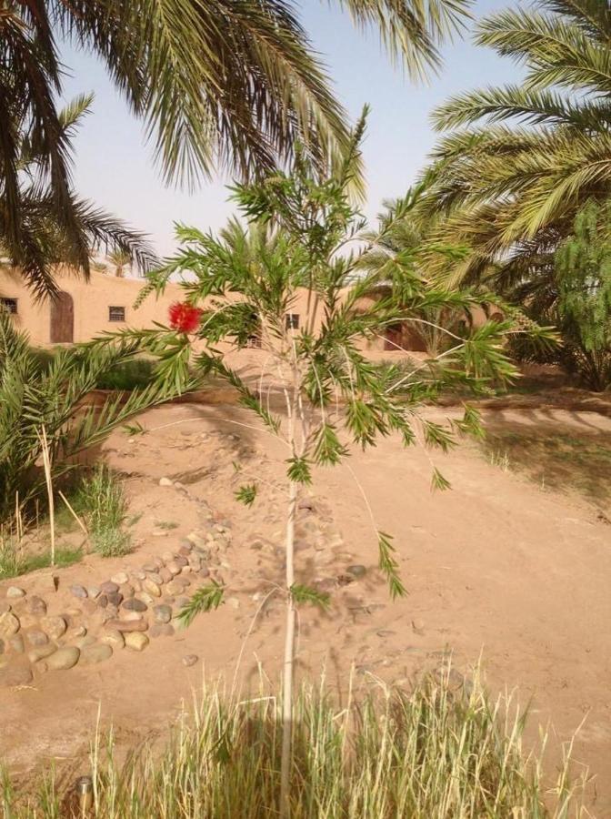 Chez Madani Hotel M'Hamid Luaran gambar