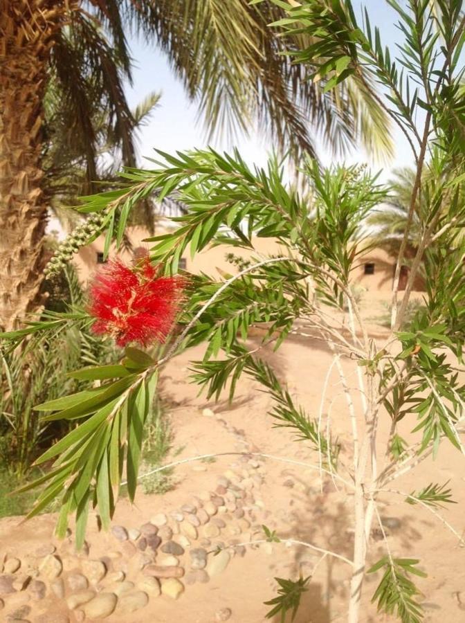 Chez Madani Hotel M'Hamid Luaran gambar