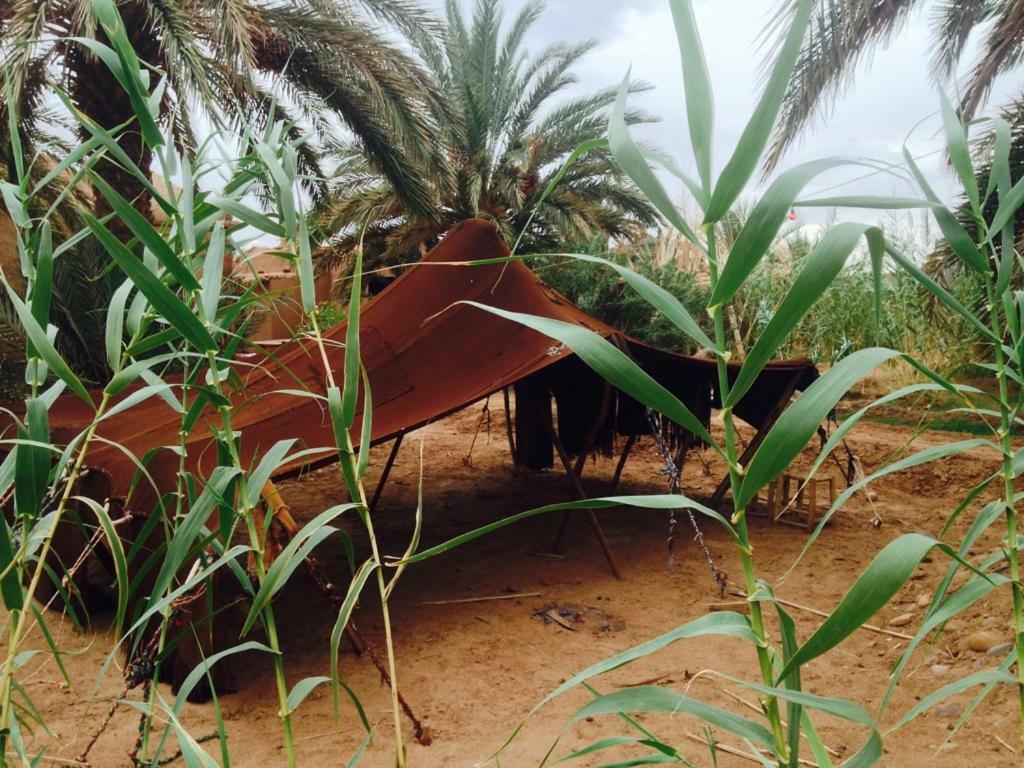 Chez Madani Hotel M'Hamid Luaran gambar